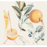 Salvador DALI (1904-1989), Zmyselný grapefruit (Pamplemousse Érotique) zo série Flordali - Les Fruits (1969)