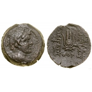 Griechenland und nachhellenistisch, Bronze, 134-133 v. Chr. (SE 179), Antiochia ad Orontem