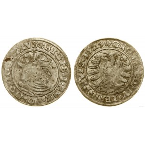 Polen, Pfennig, 1529, Toruń