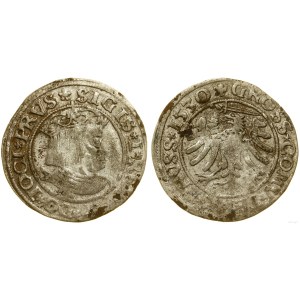 Poľsko, penny, 1530, Toruń