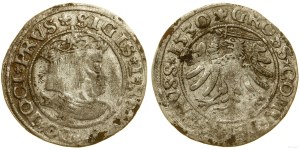 Poland, penny, 1530, Torun