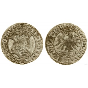 Polsko, penny, 1531, Toruň