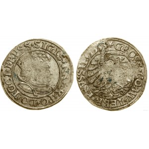 Polsko, penny, 1533, Toruň