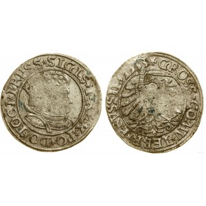Poľsko, penny, 1533, Toruń