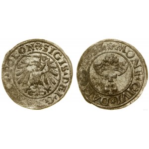 Poľsko, šiling, 1532, Gdansk