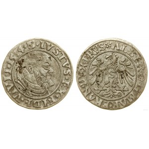 Ducal Prussia (1525-1657), penny, 1534, Königsberg