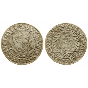 Ducal Prussia (1525-1657), penny, 1537, Königsberg