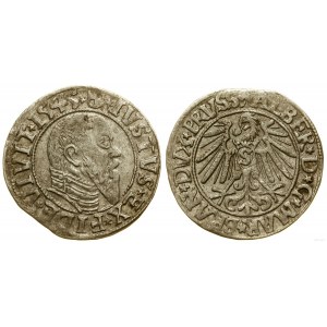 Ducal Prussia (1525-1657), penny, 1545, Königsberg