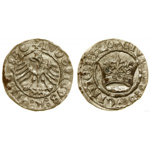 Silesia, half-penny, 1520, Swidnica