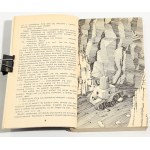 Janusz A. Zajdel Feniks [I wydanie]