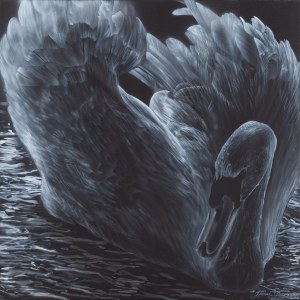 Hanna Rozpara (b. 1990, Sosnowiec), Black Swan, 2023