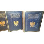 POLSKA JEJ DZIEJE I KULTURA vol. I-III [set] original, rare binding variant