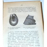 ROHLWES - NAUKA LECZENIA ZWIERZĄT DOMOWE so 66 drevorezmi v texte. Varšava 1893