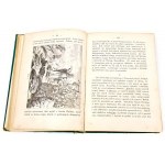 MIDDLE AGES IN IMAGES publ. 1884. EINBINDUNG