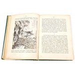 MIDDLE AGES IN IMAGES ed.1884. PUBLISHER'S BINDING