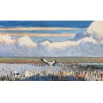 Julian Fałat (1853 Tuligłowy - 1929 Bystra), Storks.