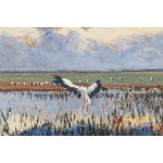 Julian Fałat (1853 Tuligłowy - 1929 Bystra), Storks.