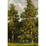 Władysław Malecki (1836 Masłów - 1900 Szydłowiec), On the edge of the pine forest, 1880s.