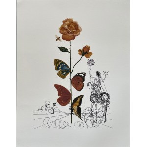 Salvador Dali, Róża i motyle, 1979