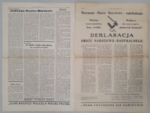 Relay, R.II- 1934 No. 14(20) of April 22, ONR declaration [anti-Semitism].