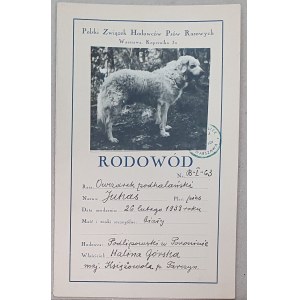Mountain Halina, pedigrees and evaluations of dogs[Podhale sheepdogs, 1937-39].
