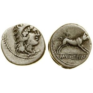 Římská republika, denár, 78 př. n. l., Řím