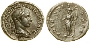 Roman Empire, denarius, 223, Rome