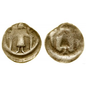 Western Pomerania, one-sided denarius