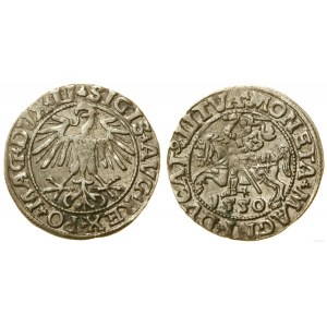 Polen, litauischer Halbpfennig, 1550, Vilnius
