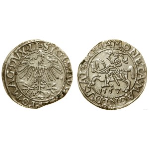 Polen, litauischer Halbpfennig, 1557, Vilnius