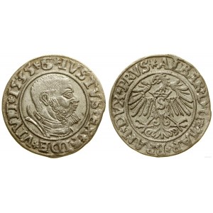 Ducal Prussia (1525-1657), penny, 1535, Königsberg