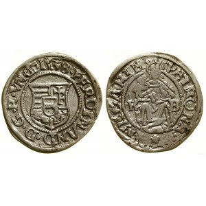 Hungary, denarius, 1538 KB, Kremnica