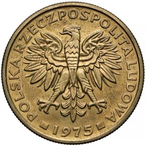 Próba MOSIĄDZ 5 złotych 1975 - niewprowadzony projekt - RZADKOŚĆ