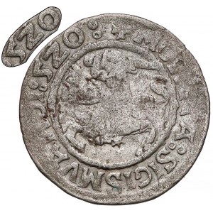 Zygmunt I Stary, Półgrosz Wilno 1520 - błędy m.in. 520 (R3)