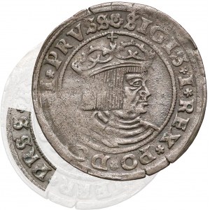 Zygmunt I Stary, Grosz Toruń 1529 - błąd PRSS - RZADKI