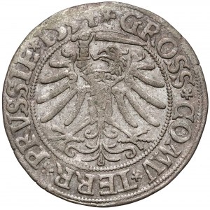 Zygmunt I Stary, Grosz Toruń 1534 - PRVSS
