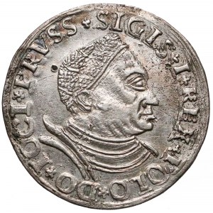 Zygmunt I Stary, Trojak Toruń 1530 - bardzo rzadki 