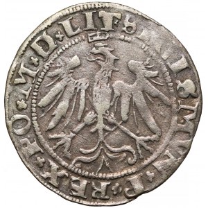 Zygmunt I Stary, Grosz Wilno 1536 - czerwiec - litera I - listek w dacie