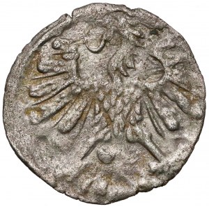 Zygmunt II August, Denar Wilno 1559