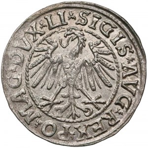 Zygmunt II August, Półgrosz Wilno 1546 - A/VVG - piękny
