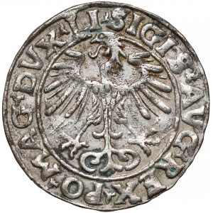 Zygmunt II August, Półgrosz Wilno 1553 - mała data