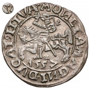 Zygmunt II August, Półgrosz Wilno 1557 - Behm - koniczyna - rzadki