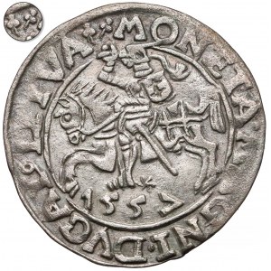 Zygmunt II August, Półgrosz Wilno 1557 - Behm - 2x koniczyna - rzadki
