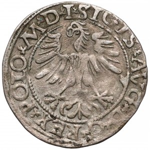 Zygmunt II August, Półgrosz Wilno 1565 - BEZ Topora - rzadki