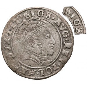 Zygmunt II August, Grosz na stopę litewską 1546 - błąd SIGS (RRR)