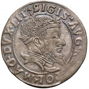 Zygmunt II August, Grosz na stopę litewską 1555 - rzadki