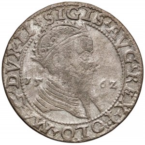 Zygmunt II August, Trojak Wilno 1562 - SZEROKI - rzadki 