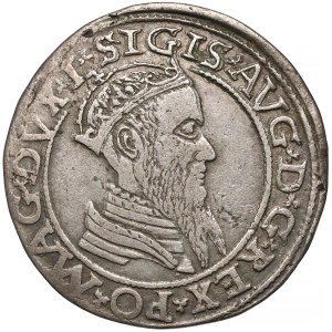 Zygmunt II August, Czworak Wilno 1565 - L/LITV