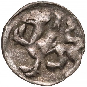 Pomorze, Szczecin, Denar XV w. 
