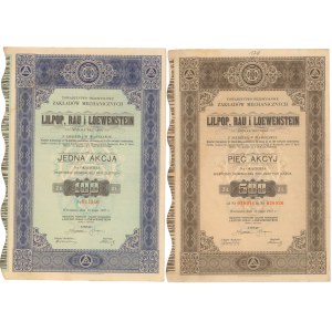 Lilpol, Rau & Loewenstein, 100 zł i 5x 100 zł 1937 (2szt)